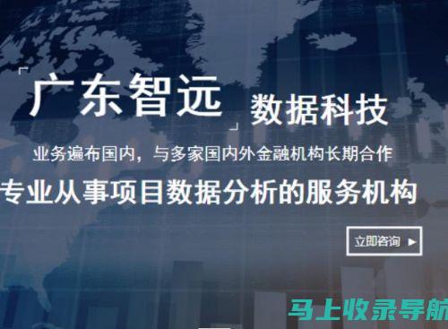 站长收益报告：揭秘网站盈利背后的秘密